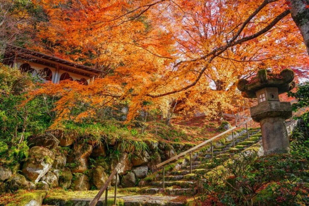 -Japon culture