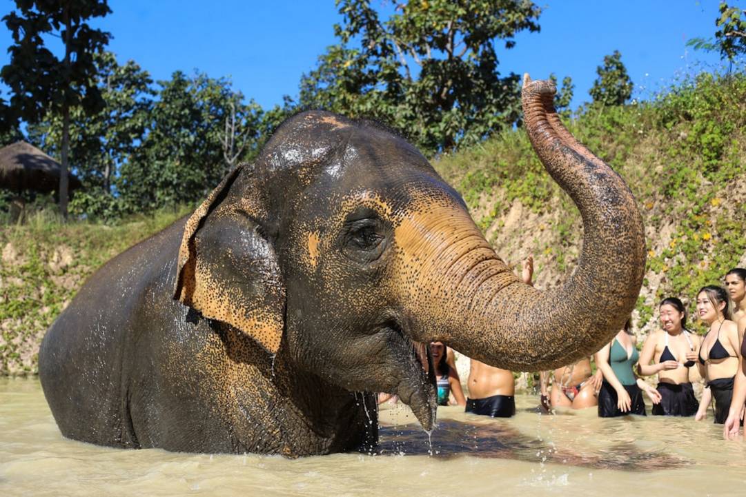 Comment se rendre à Chiang Mai