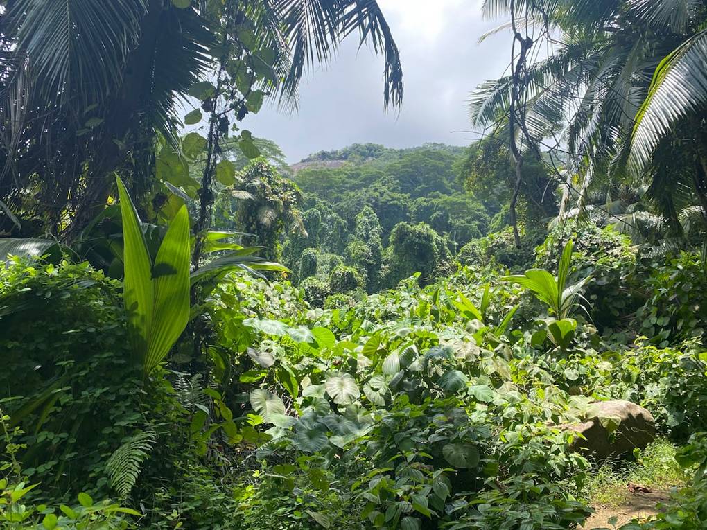 Meilleure période pour visiter