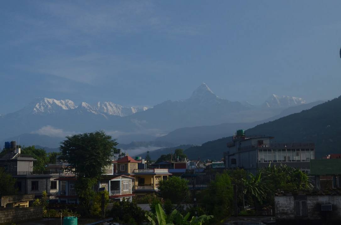 Manger Végétarien et Végan au Népal