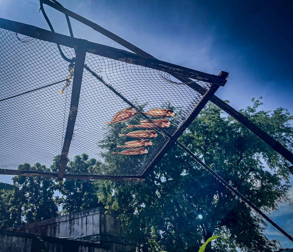 Meilleure période pour visiter