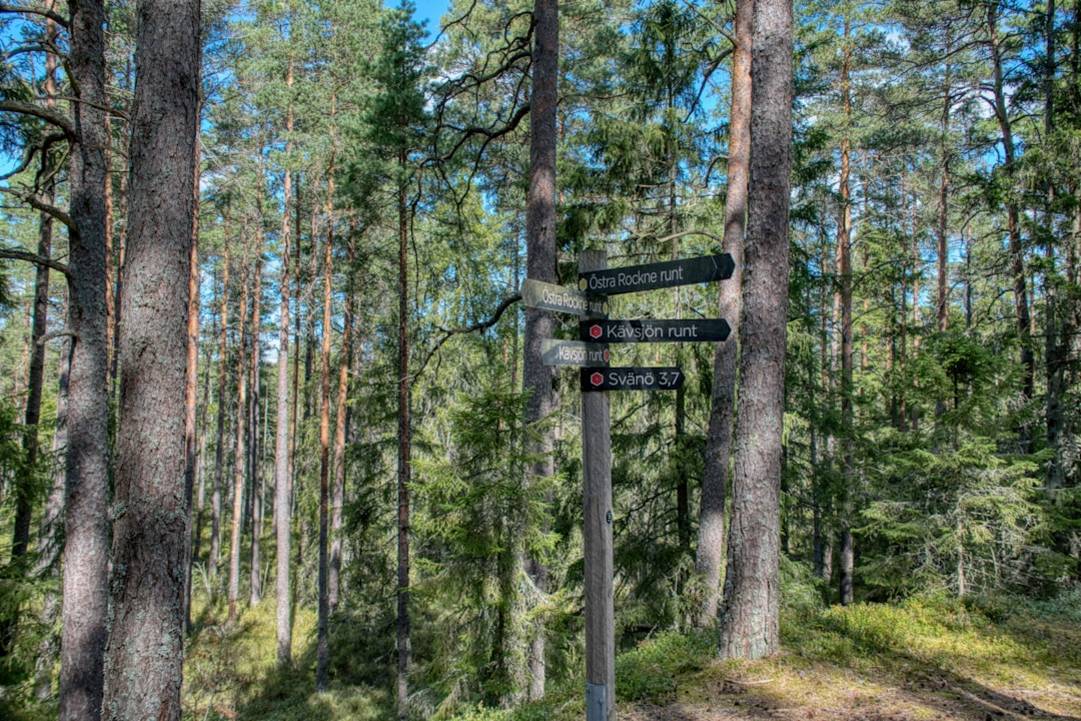 Meilleures zones autour du Parc national du mont Pulag
