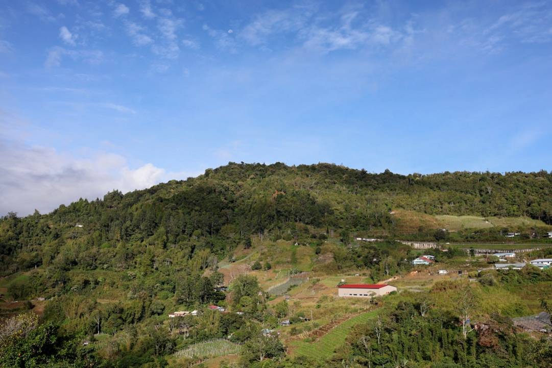 Meilleures quartiers à Tana Toraja