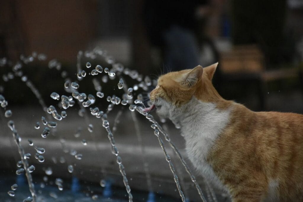 -Nusa Dua Indonésie