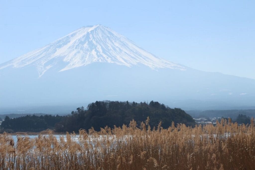 Japon