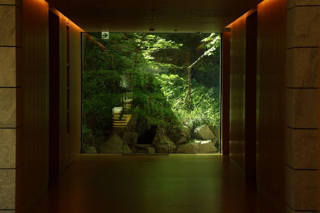 Accommodation