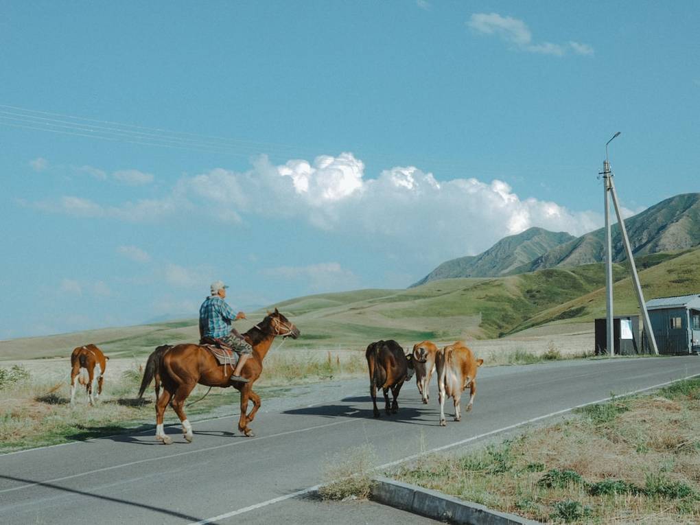 Parc national d'Ala Archa : Évasion en pleine nature