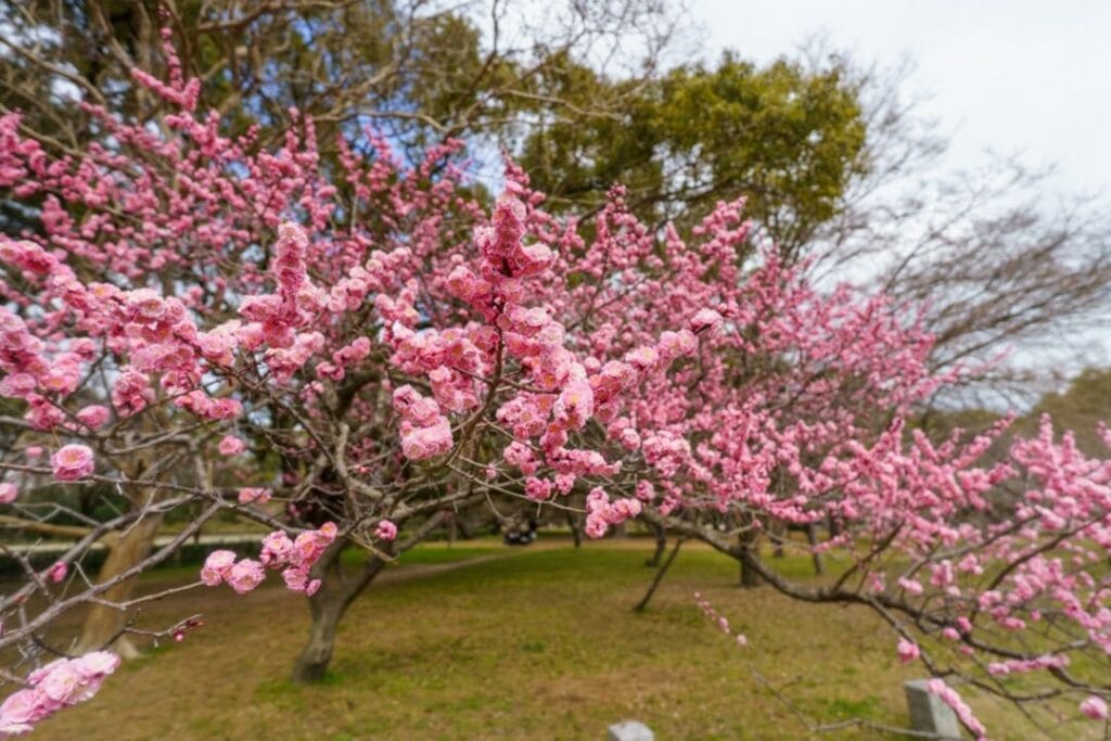 -Nagasaki Japon