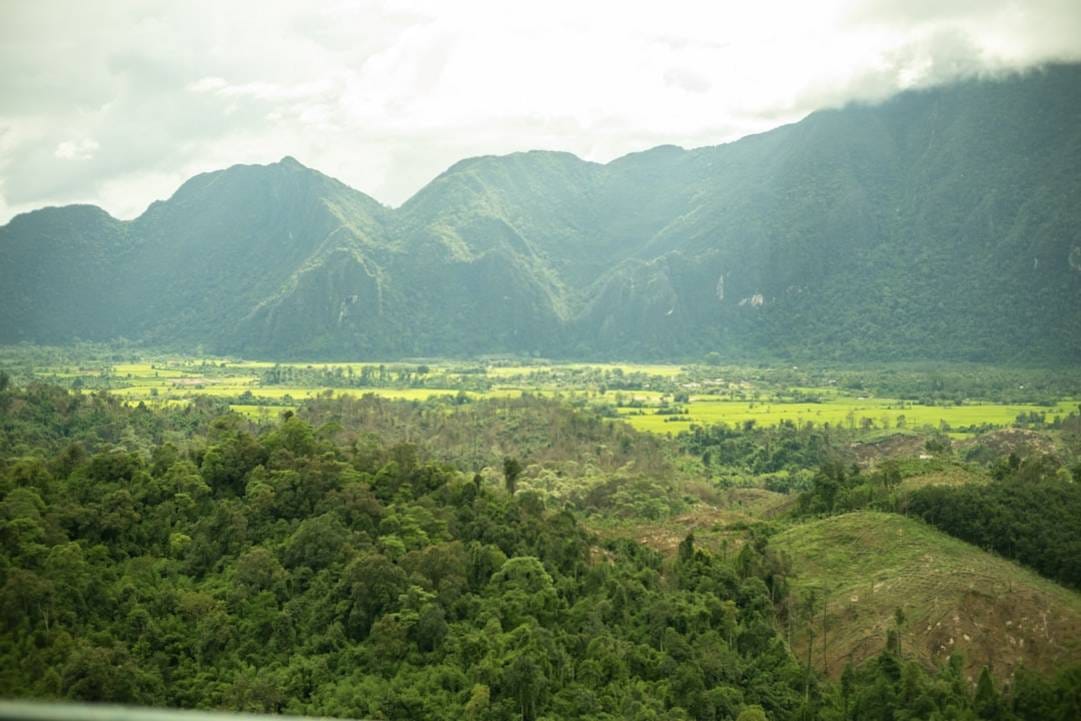 Participer à un cours de cuisine laotienne: Une vérité stratégique brutale