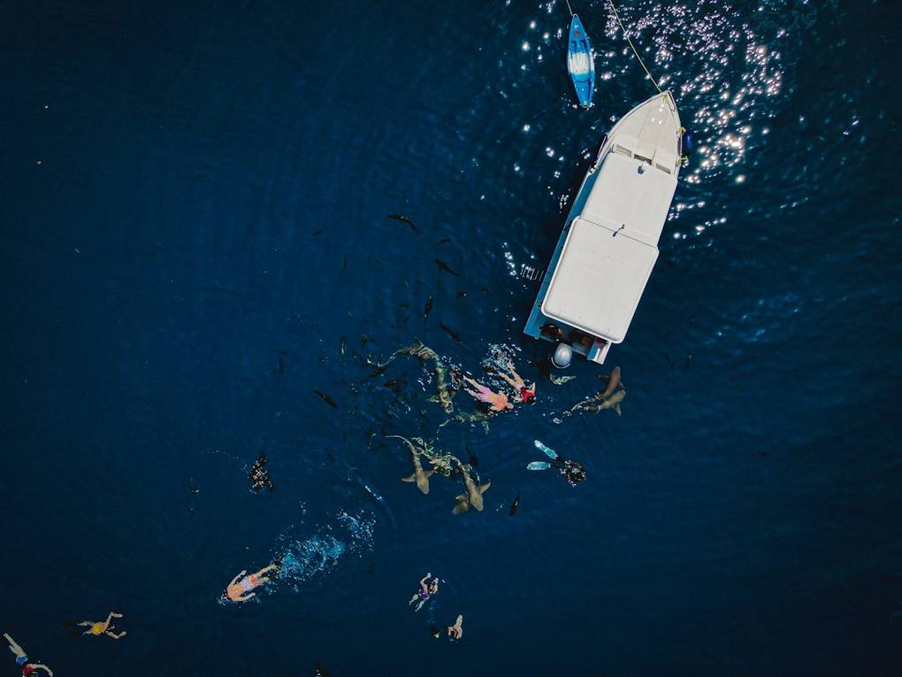 Pêche au gros au coucher du soleil : Une aventure mémorable sur l'eau.