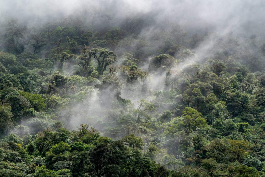 Cobán highlights
