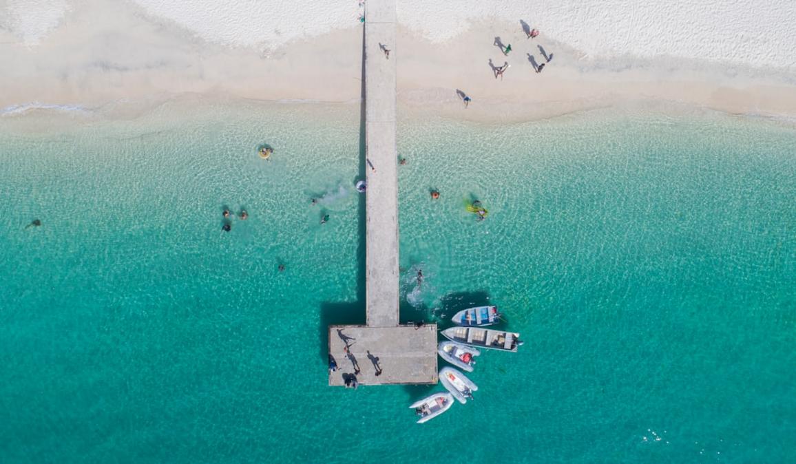 nature Grenade vs République dominicaine