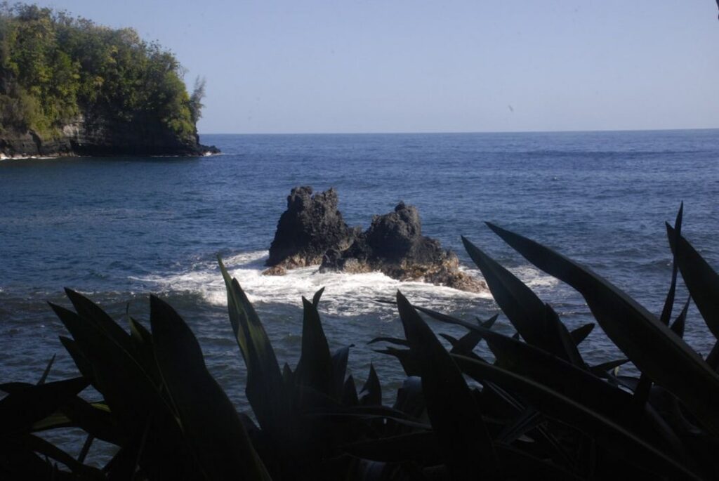 -Snorkeling avec les raies mantasnorkeling-mantaNusa Lembongan