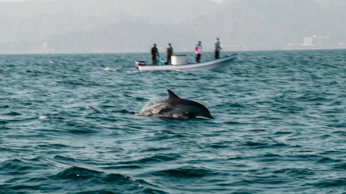 Croisière dans les fjords de Musandamcroisiere-dhow-musandamKhasab scenery