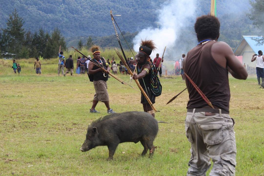Démonstration de chasse à l'aiglechasse-aigleKochkor overview