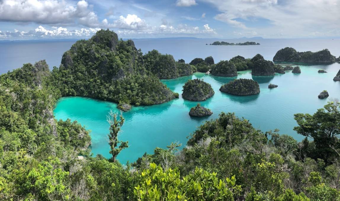 Plongée à Raja Ampatplongee-raja-ampatRaja Ampat highlights