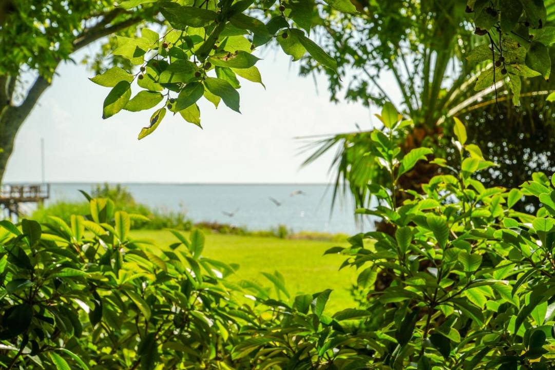 Cloud Forest dans Gardens by the Bay: Points forts et astuces 17 Cloud Forestcloud-forestGardens by the Bay atmosphere