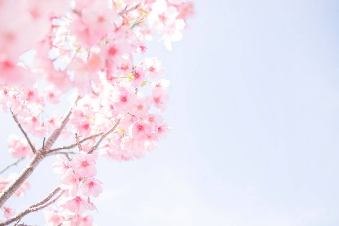 Glover Gardenglover-gardenNagasaki scenery