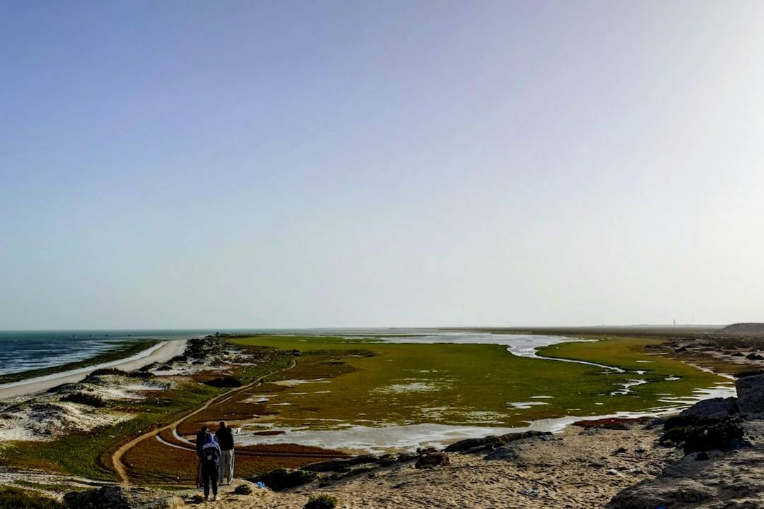 Observation des tortues à Ras al Jinztortues-ras-al-jinzSour highlights