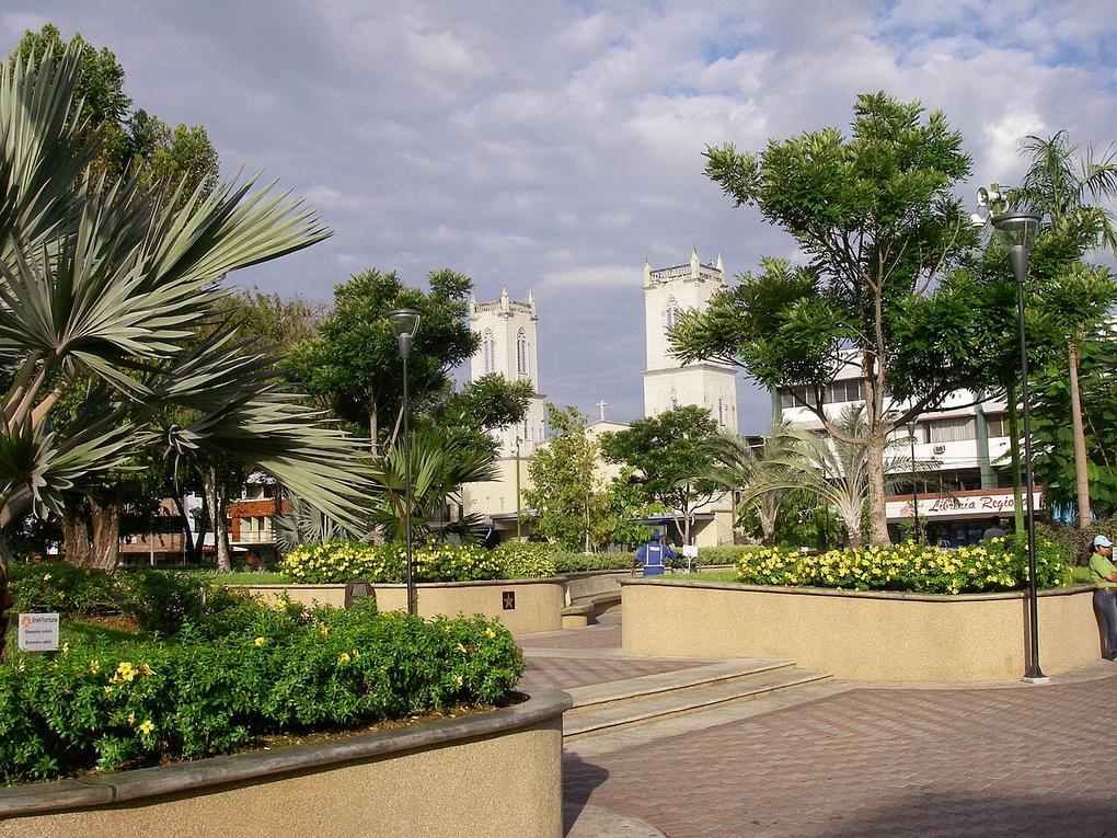 Top 5 choses à faire à David, capitale du Chiriquí et hub vers Boquete 9 Le marché central de David s'anime au petit matin, entre étals colorés et odeurs de café frais.