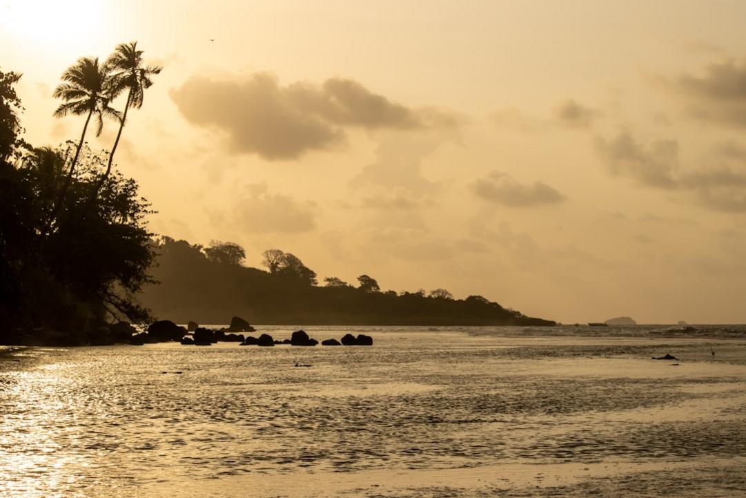 Top 5 choses à faire à Isla Grande, île caraïbe près de Colón 10 Isla Grande highlights