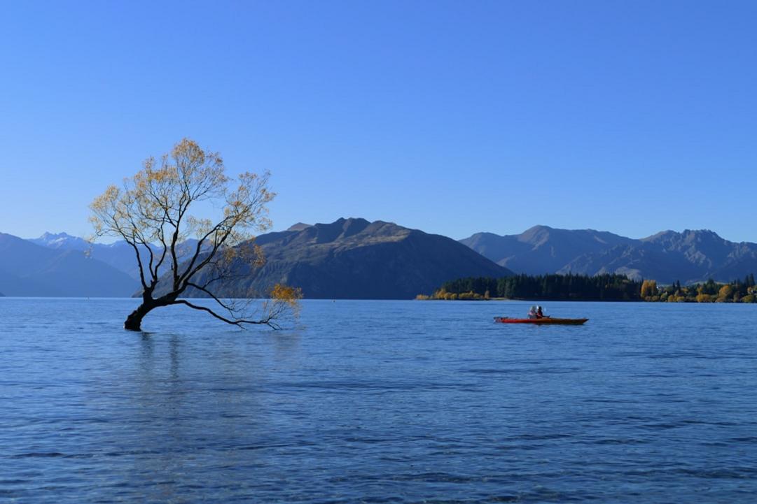 Queenstown moments