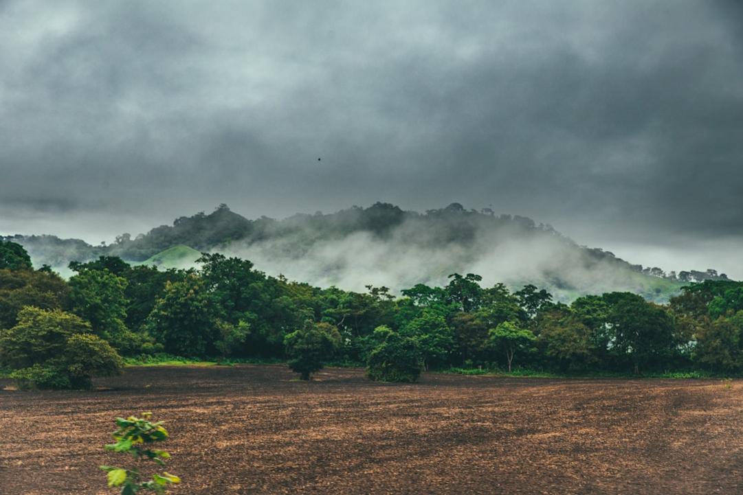 Top 5 choses à faire à Volcán, ville de haute altitude au pied du Barú 12 Volcán accommodation