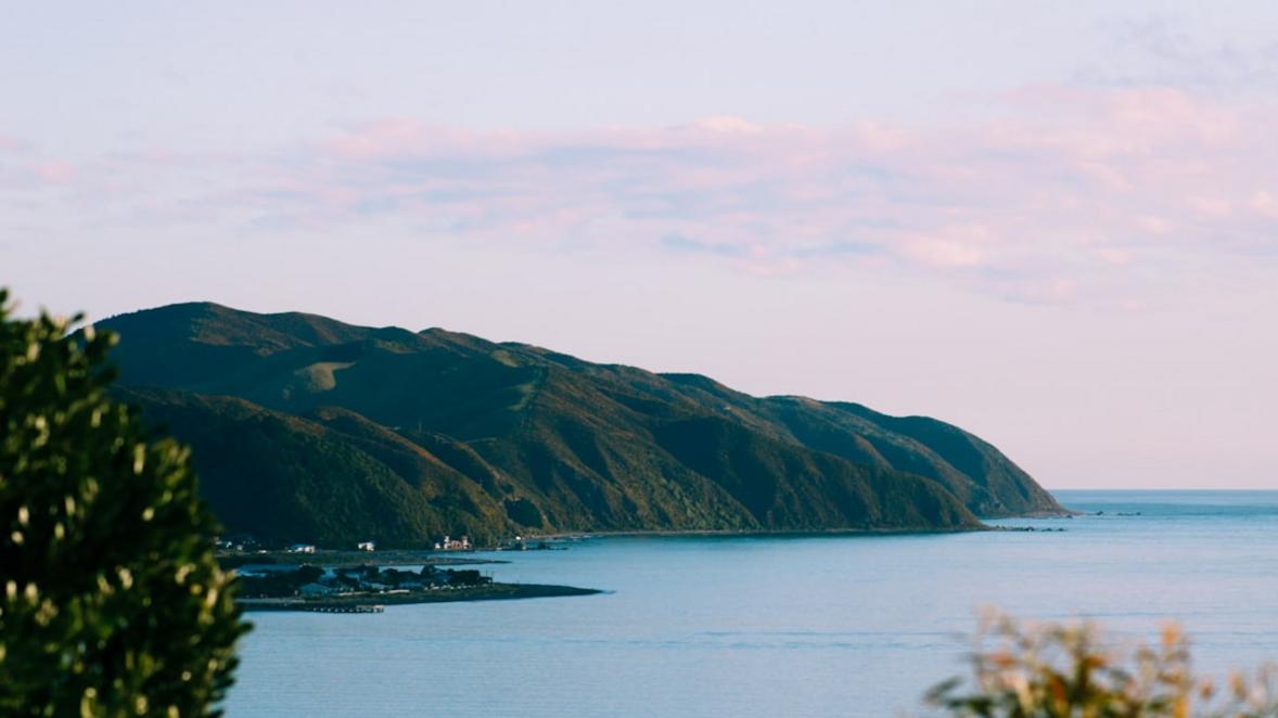 Wellington seasonal mood
