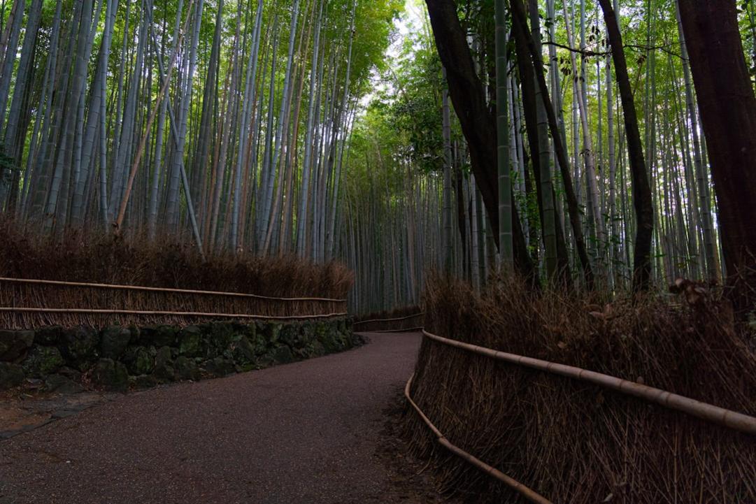 Cascade Okinawa : les cascades incontournables en Okinawa