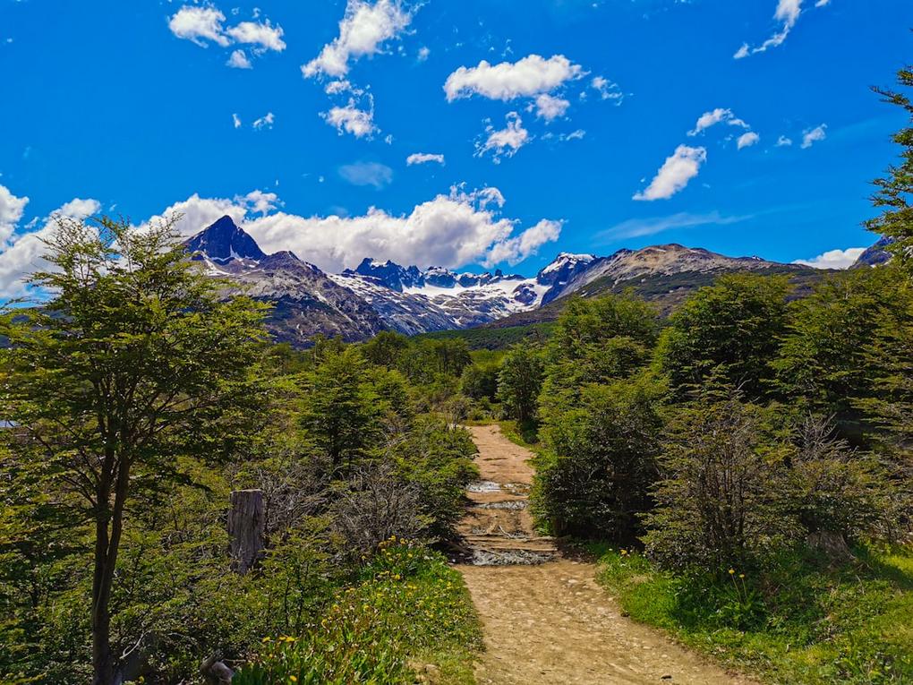 Ushuaia ou El Calafate : Que choisir pour votre voyage ? 7 Ushuaia vs El Calafate